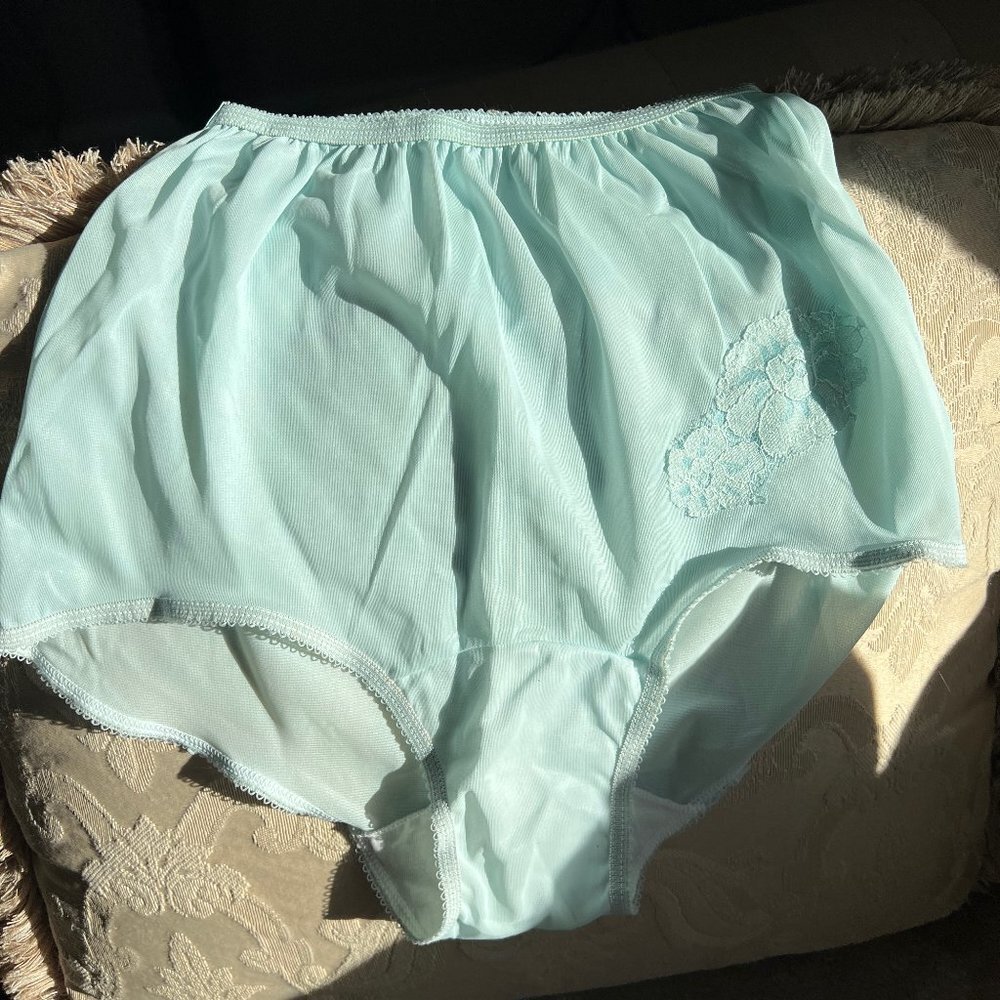 Nancy King Vintage Sheer Mushroom Panty 50's Style Size 4 Baby Blue